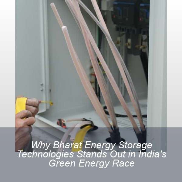 Why Bharat Energy Storage Technologies Stands Out in India's Green Energy Race